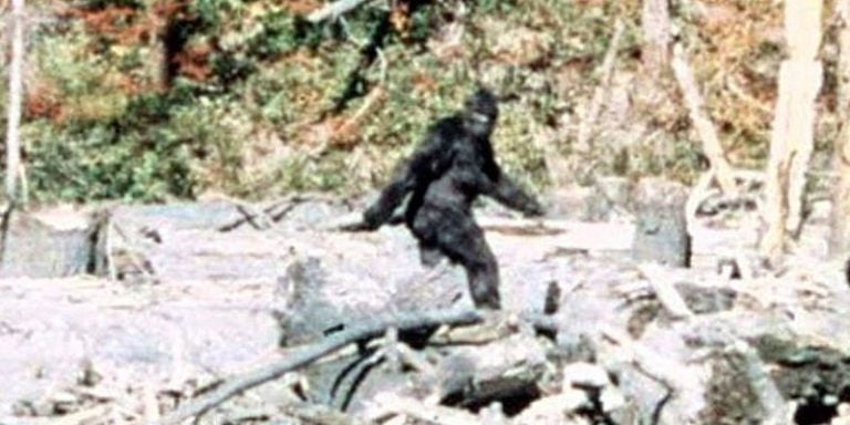Real or Fake? Unraveling the Bigfoot Enigma