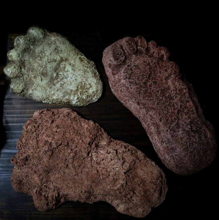 Real or Fake? Unraveling the Bigfoot Enigma