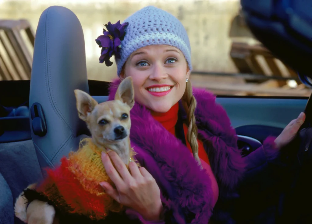 Top 8 Rom-Coms On HBO Max You Need To See