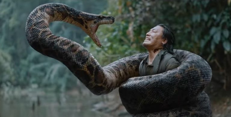 The Truth About Anacondas: Can They Really Swallow a Human Whole?