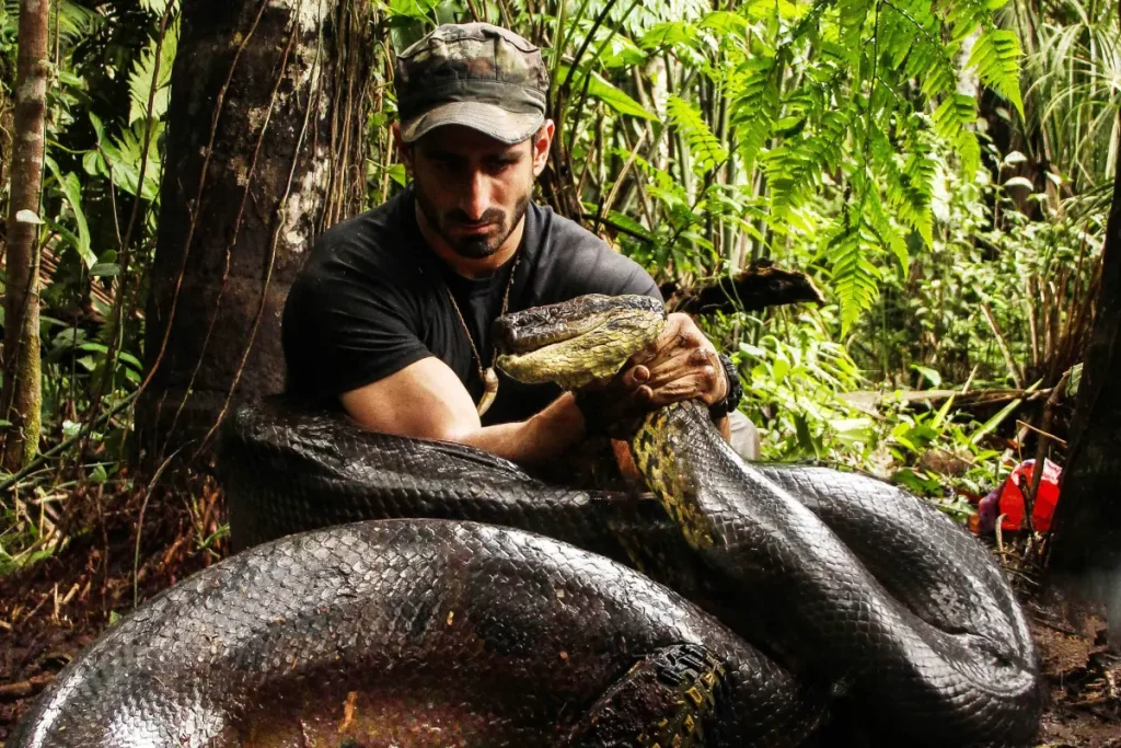 Cum ar fi sa fii atacat de o anaconda? Ce faci in acea situatie?