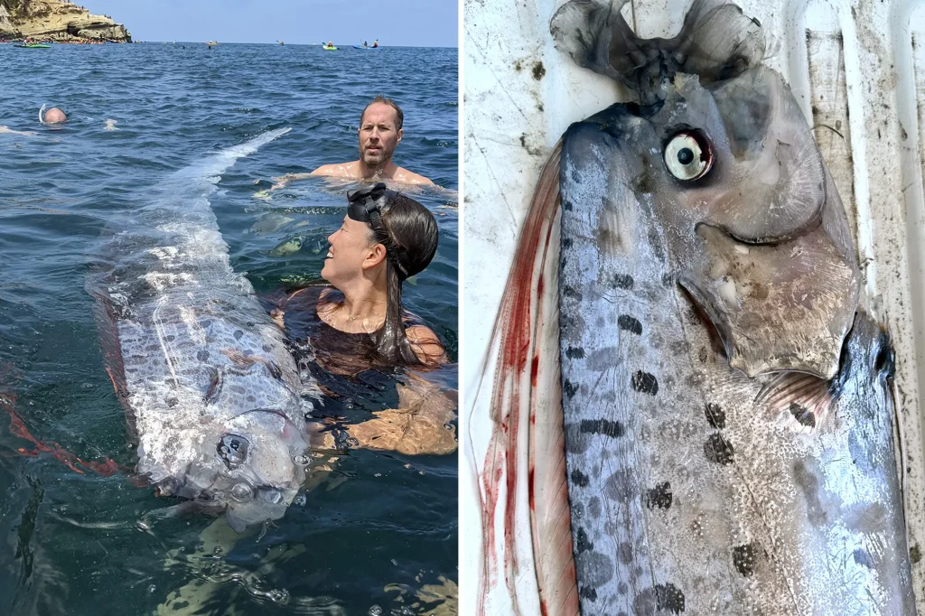 Mythical “Doomsday” Fish Beached In California Again