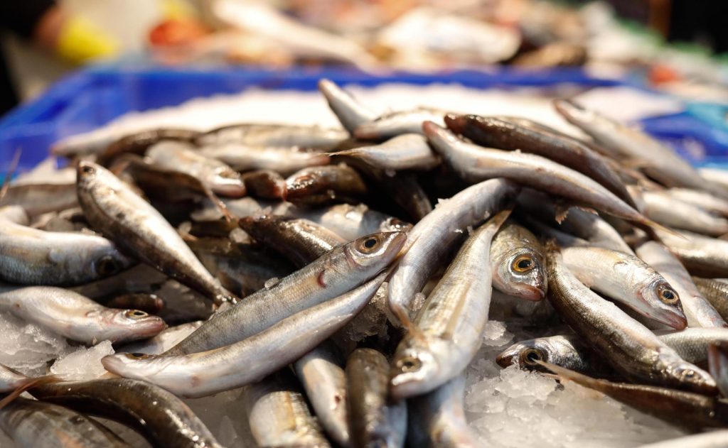 ¿Te preocupa el mercurio? Te mostramos los 10 pescados más seguros