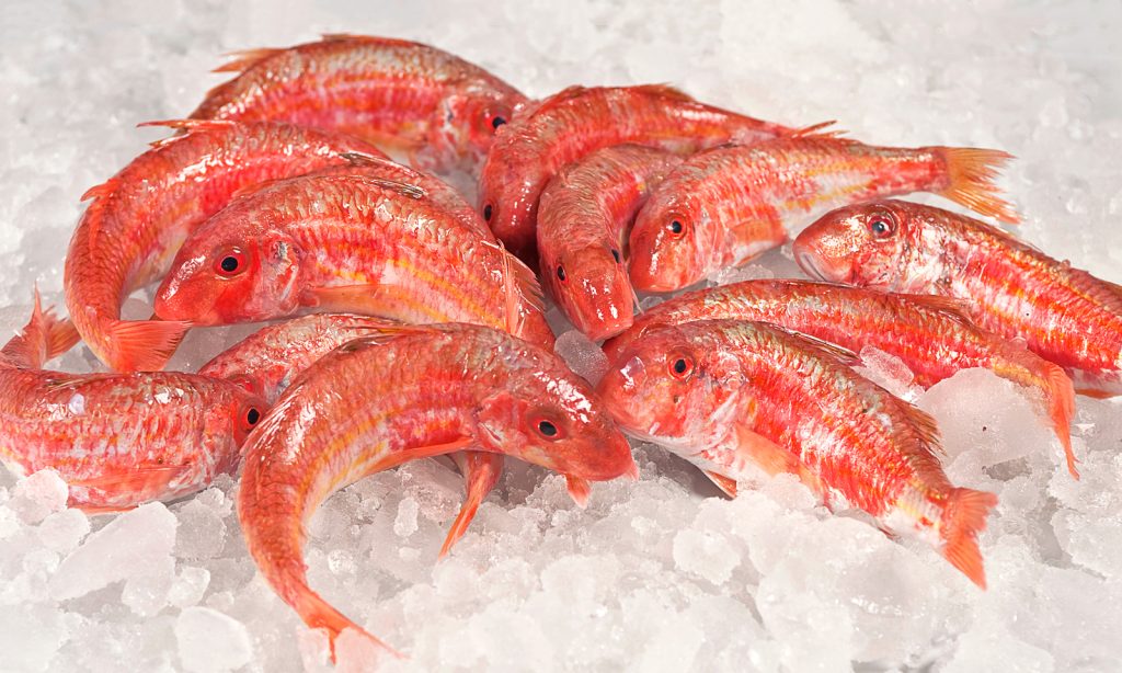 ¿Te preocupa el mercurio? Te mostramos los 10 pescados más seguros
