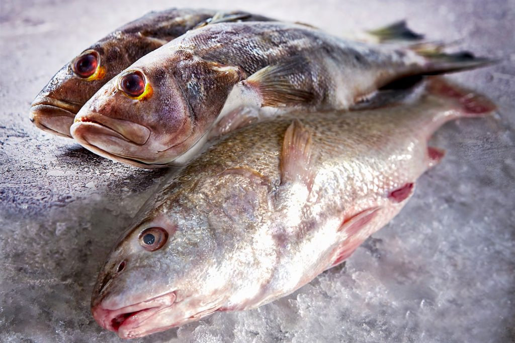 ¿Te preocupa el mercurio? Te mostramos los 10 pescados más seguros