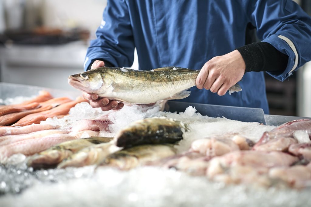 ¿Te preocupa el mercurio? Te mostramos los 10 pescados más seguros
